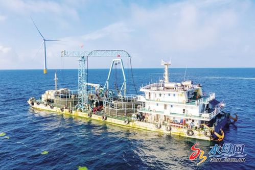 山东省首个海上风电项目海缆敷设施工正酣